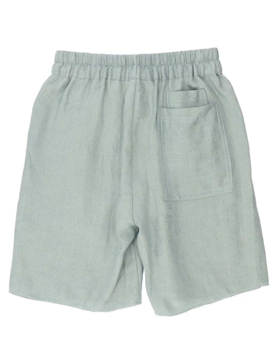 KIDS21 Boys' Green Donny Athletic Shorts - Lightweight Comfortable Casual Summer Shorts for Kids