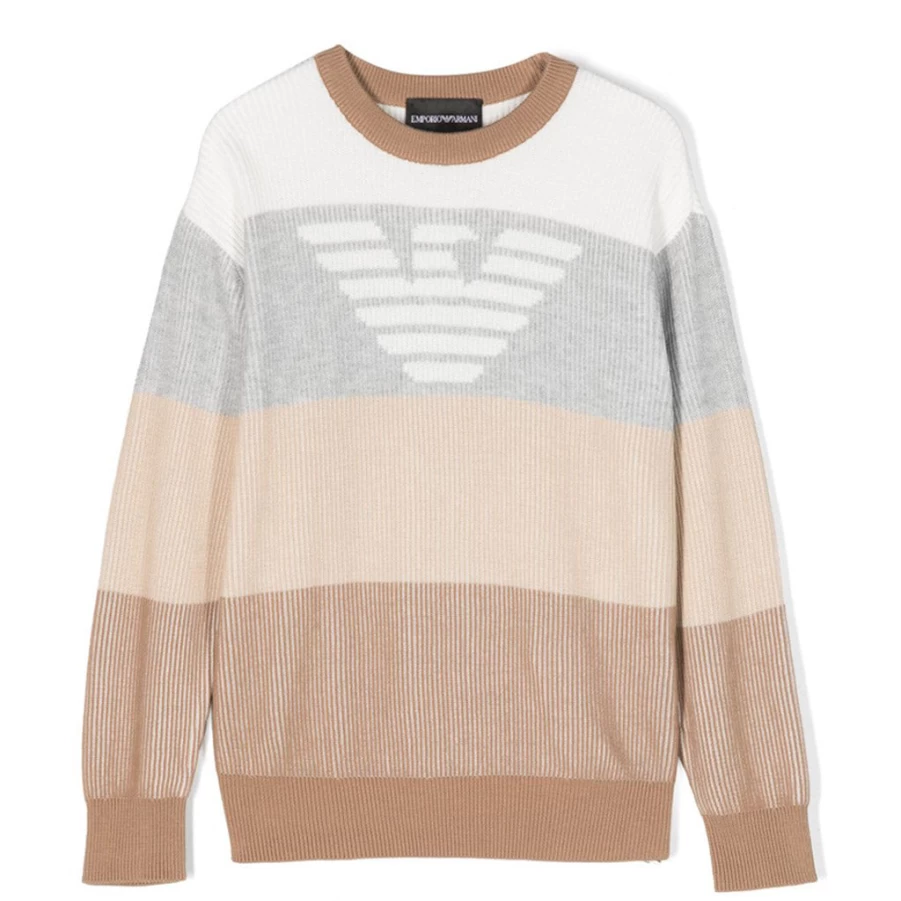 KIDS21 Brown Logo Pullover Sweatshirt for Kids