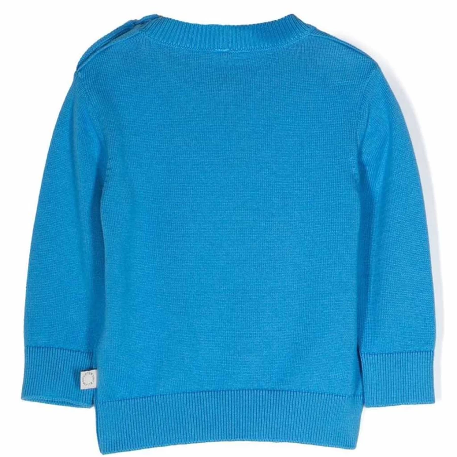 "KIDS21 Blue Monkey Knit Sweater for Kids - Cute Animal Design Pullover"