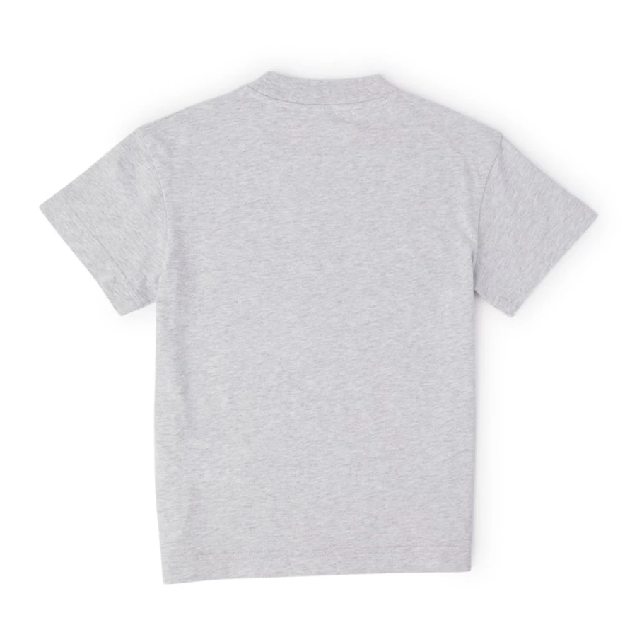 "KIDS21 Grey Cotton T-Shirt for Kids - Comfortable Casual Shirt"