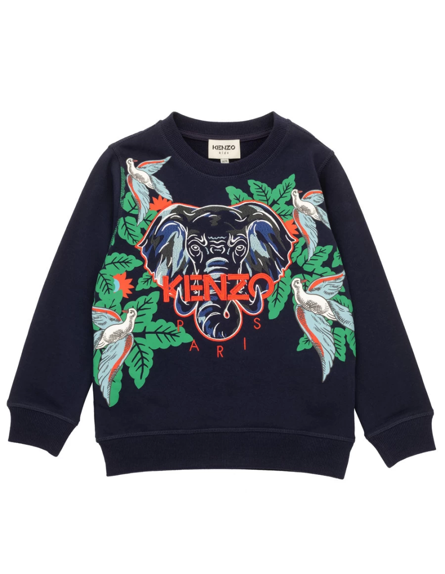 "KIDS21 Blue Sweatshirt for Kids - Comfortable & Stylish Pullover"