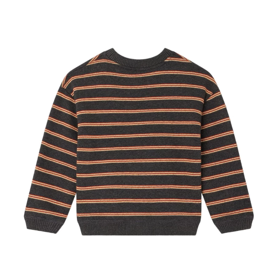 KIDS21 Multi-Colored Tonino Sweatshirt for Kids - Comfortable & Stylish Pullover