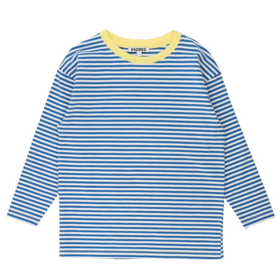KIDS21 Blue Contrast-Trim Striped T-Shirt for Kids