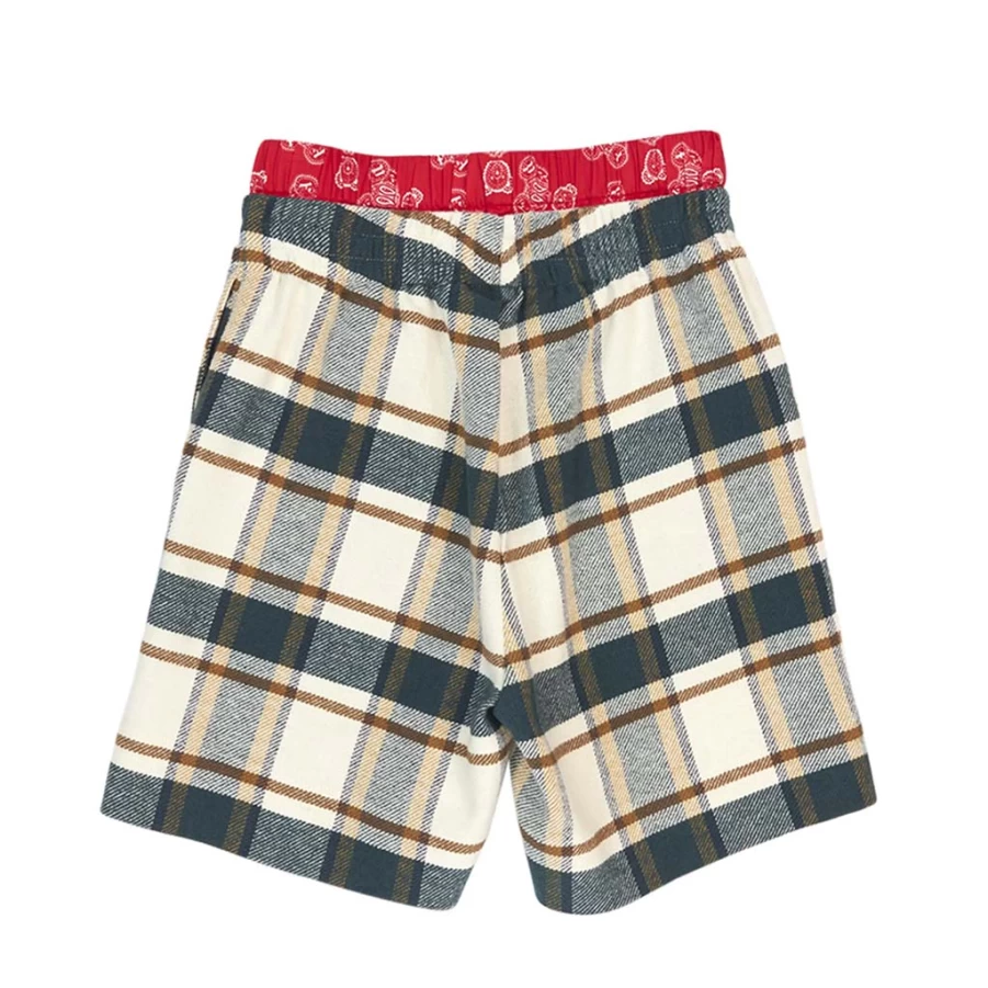 KIDS21 Multi-Colored Paisley Checkered Bear Print Shorts for Kids