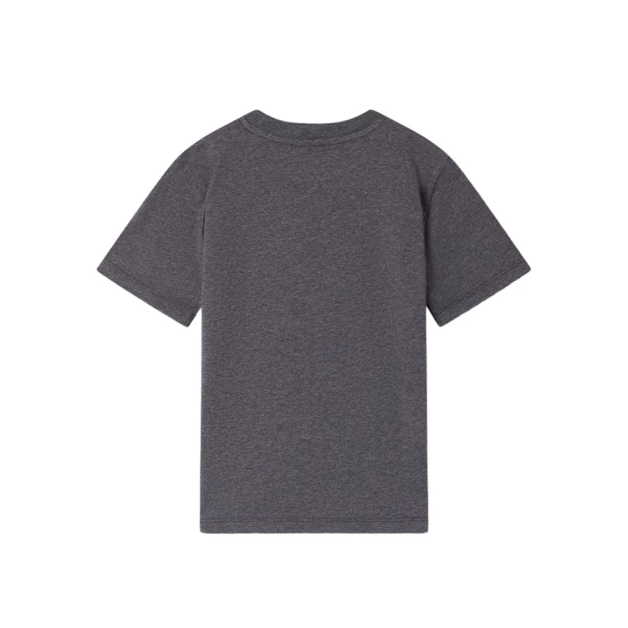 KIDS21 Grey Thibald Graphic T-Shirt for Kids - Soft Cotton Casual Tee