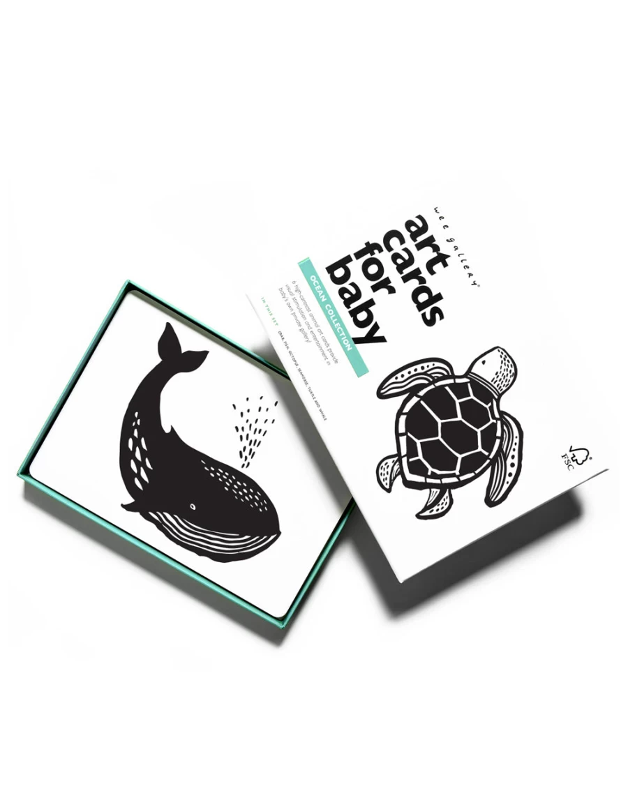 "KIDS21 Ocean Collection Multi-Colored Art Cards – Vibrant Underwater Themed Designs"