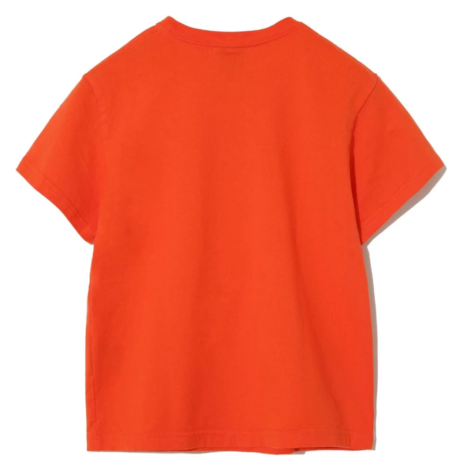 "KIDS21 Red Apple Cat Graphic T-Shirt for Kids - Cute & Comfortable Cotton Tee"